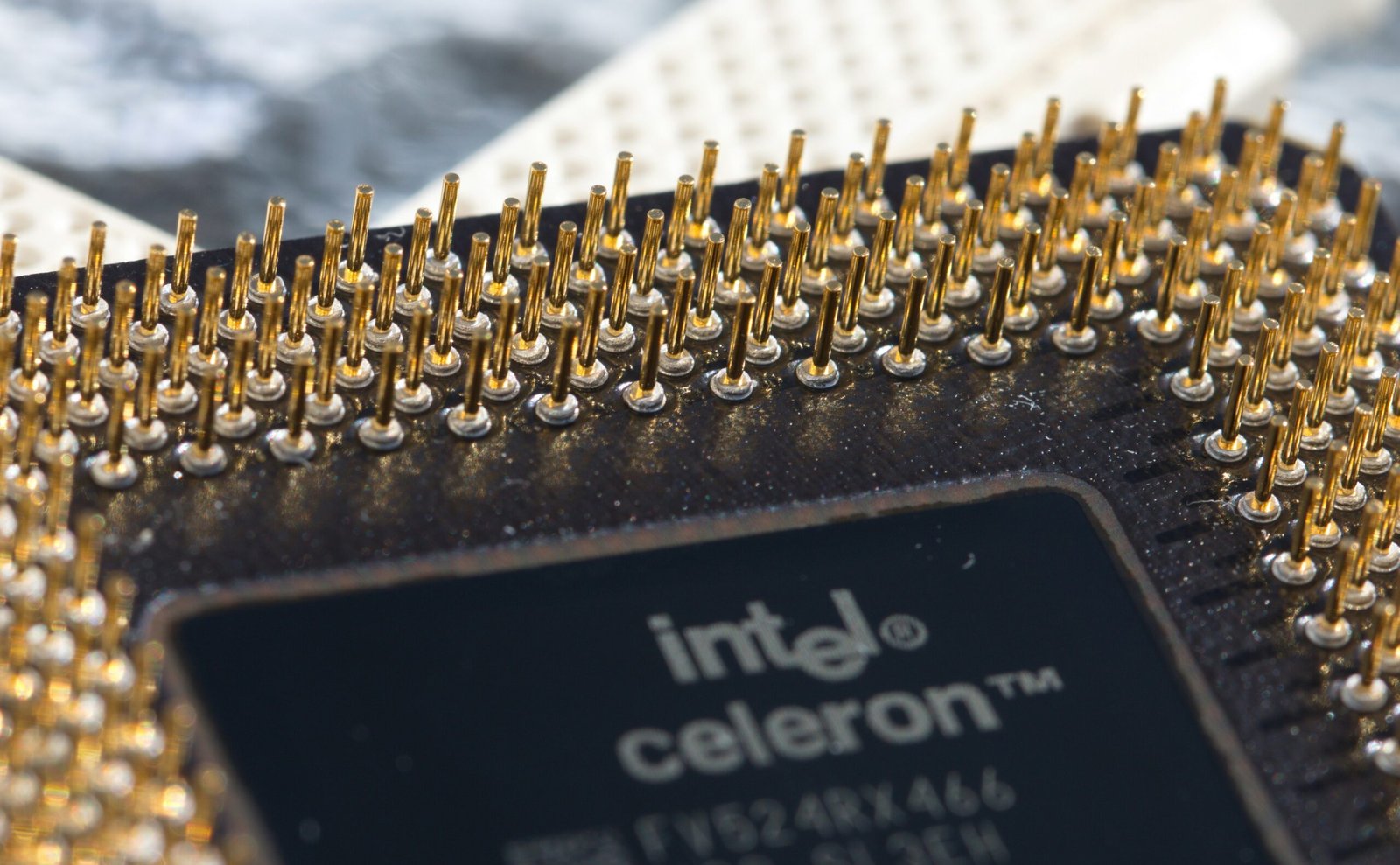 Comparativa de Procesadores: AMD vs Intel para Gaming y Multitareas
